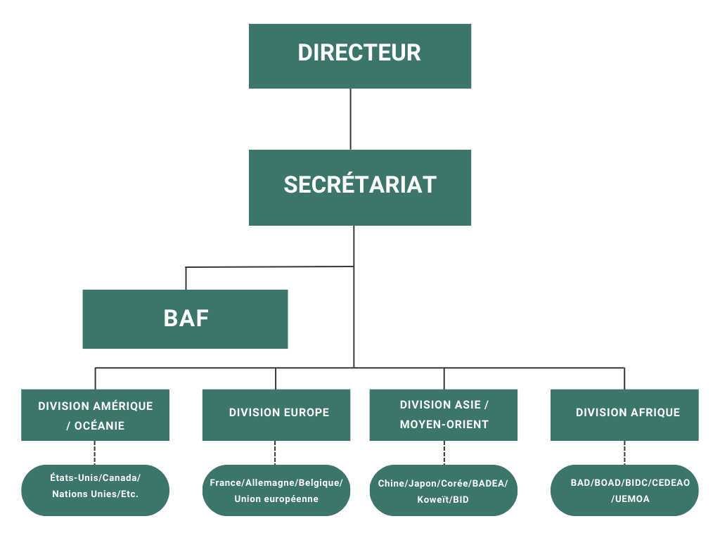 organigramme_dcef